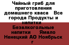 Чайный гриб для приготовления домашнего кваса - Все города Продукты и напитки » Безалкогольные напитки   . Ямало-Ненецкий АО,Ноябрьск г.
